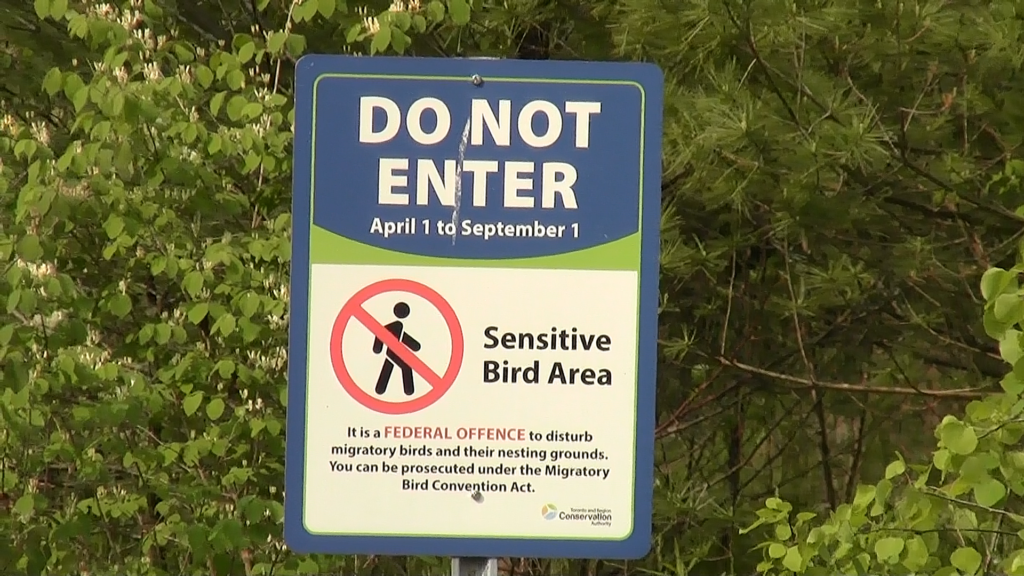 Sign reading: Do not Enter. April 1 to September 1. Sensitive Bird Area. It is a Federal Offence to disturb migratory birds and their nesting grounds. You can be prosecuted under the Migratory Bird Convention Act.