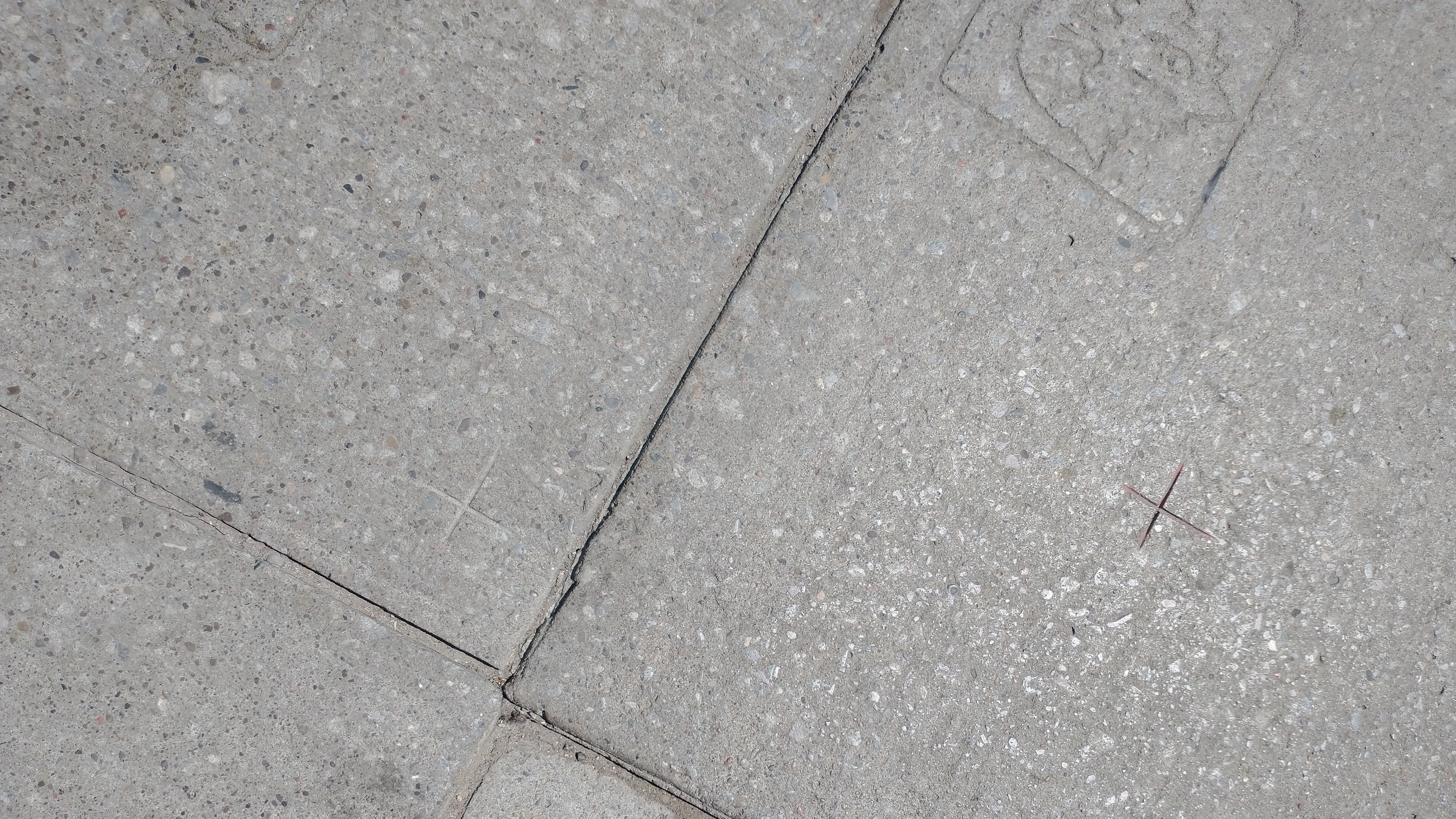 Two crosses in a concrete sidewalk acting as survey monuments